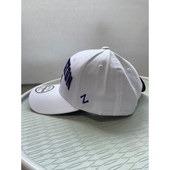Zephyr Washington Stapie Baseball Cap OS White Dark Purple Snapback College NEW - Picture 4 of 5